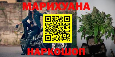 Альфа ПВП Ачхой-Мартан