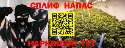 Альфа ПВП Ачхой-Мартан