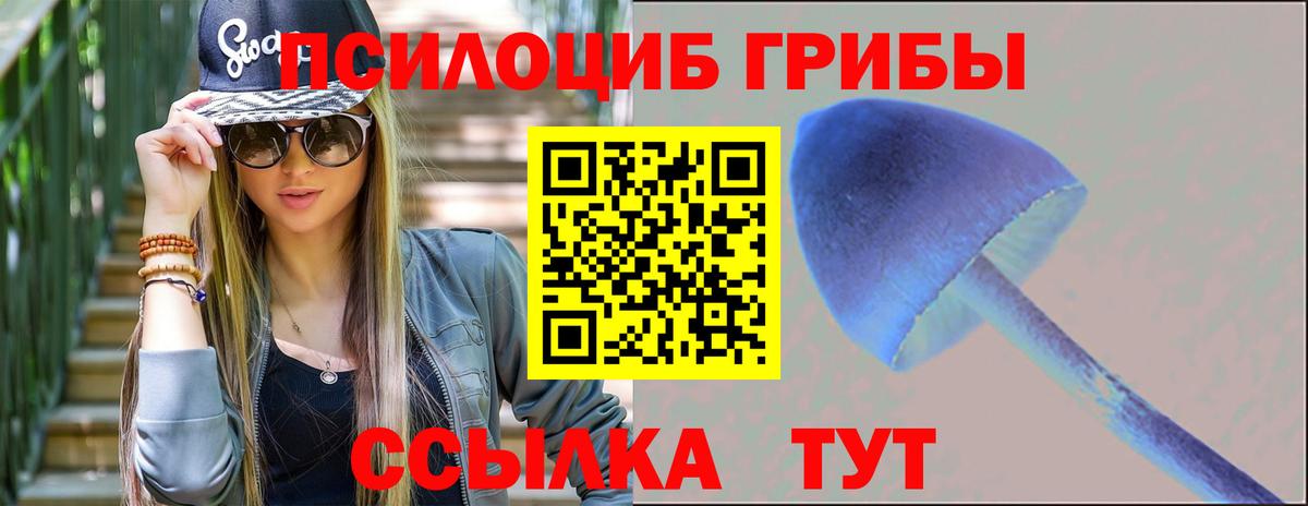 Галлюциногенные грибы Cubensis Алексин